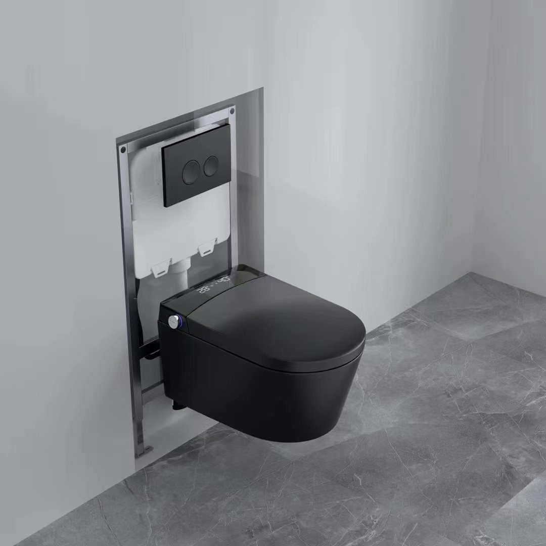 black toilet