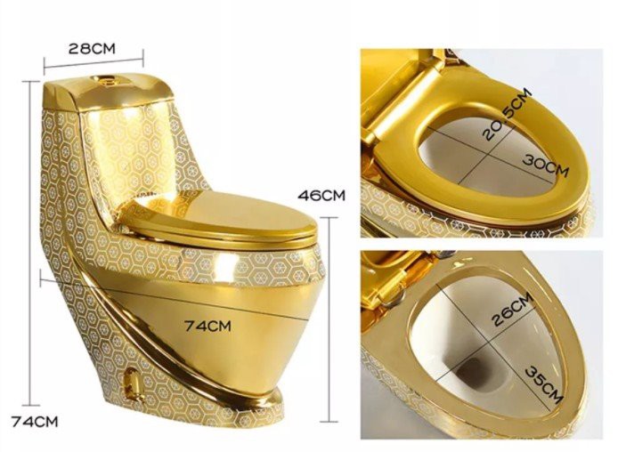 toilet of gold