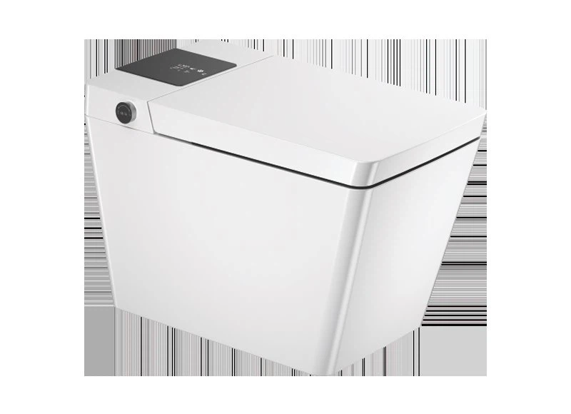 best wash and dry toilet.png