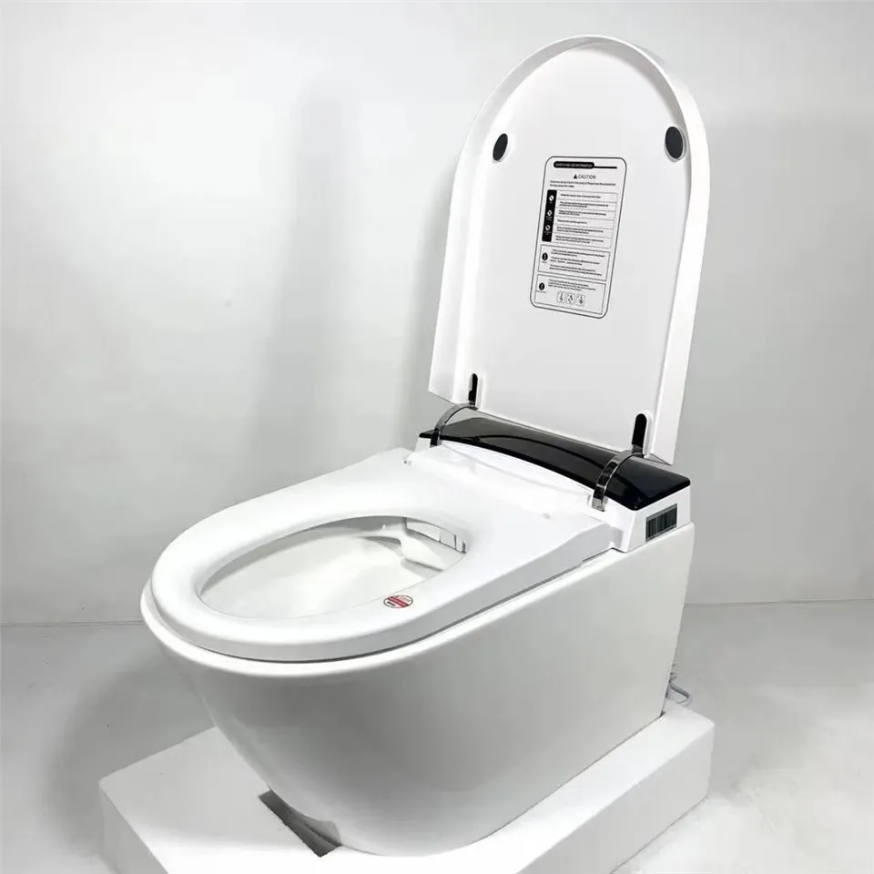 Automatic Cleaning Toilet