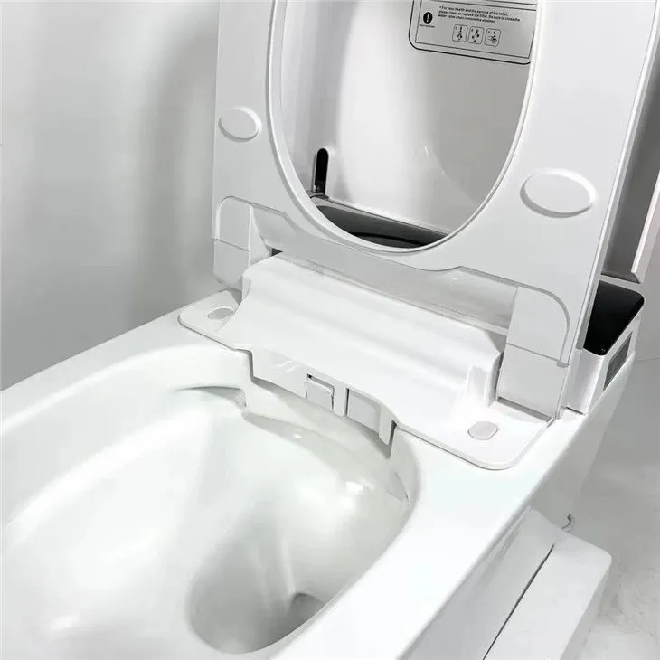 Automatic Cleaning Toilet