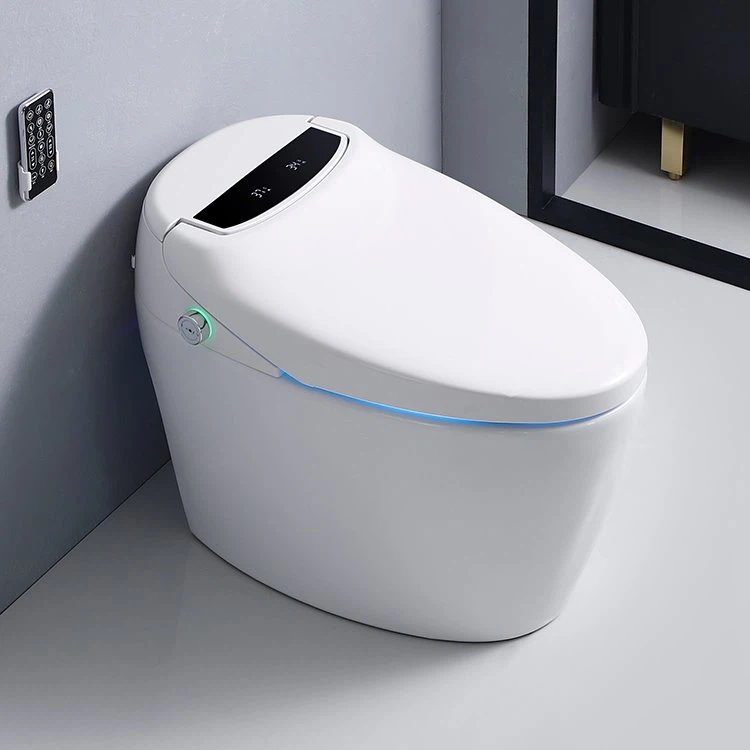 Electronic Smart Toilet