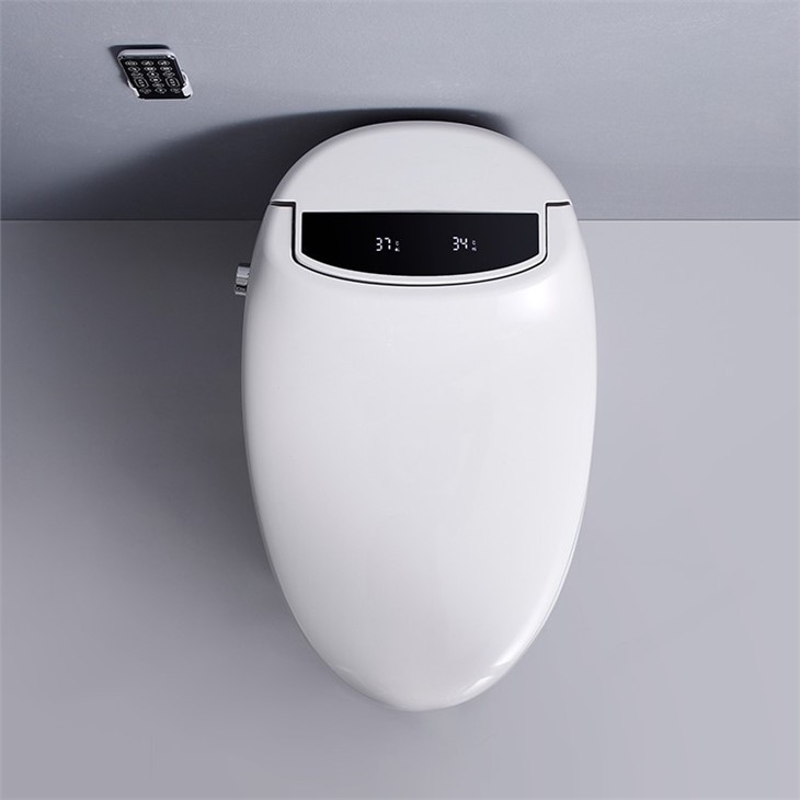 smart toilet intelligent
