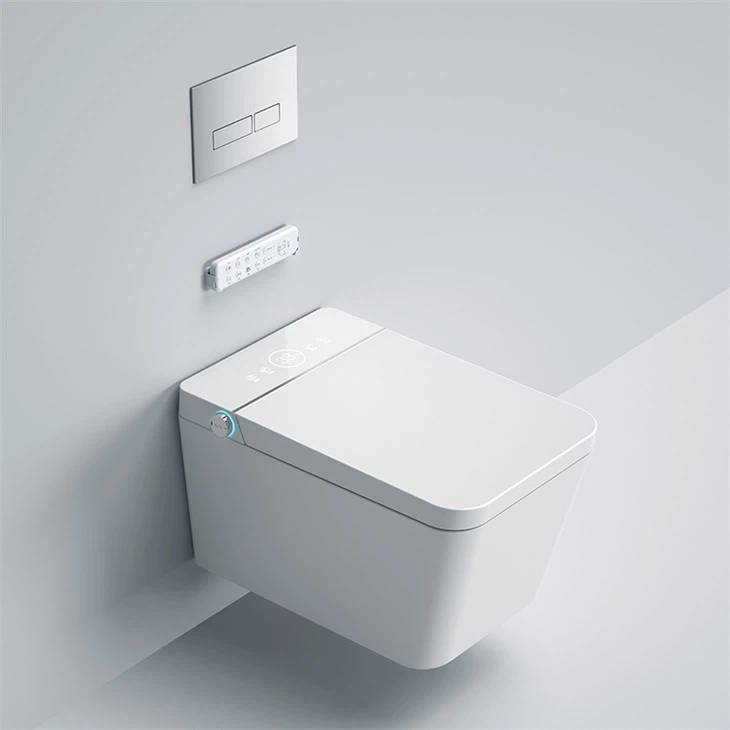 Monarch Wall Mounted Bidet Toilet