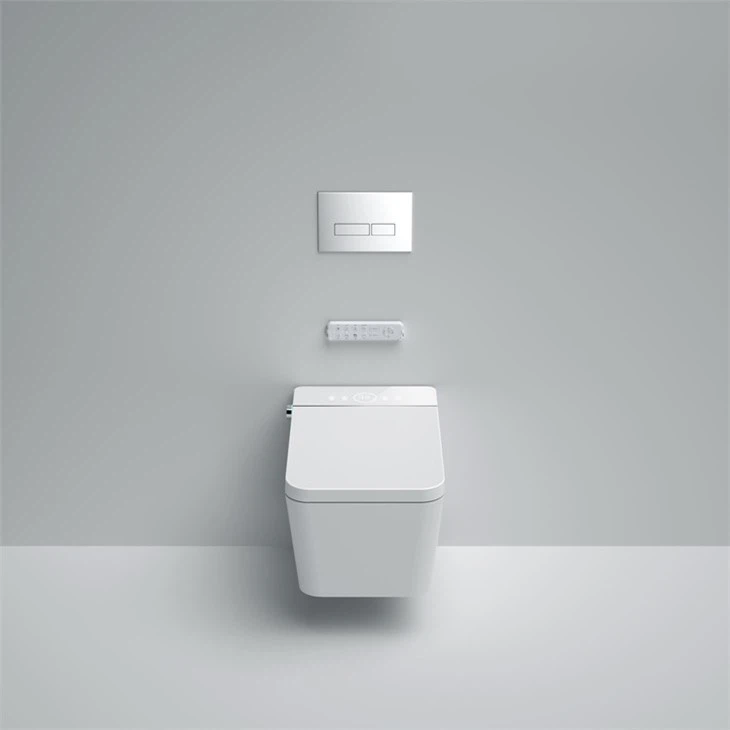 wall hung bidet toilet