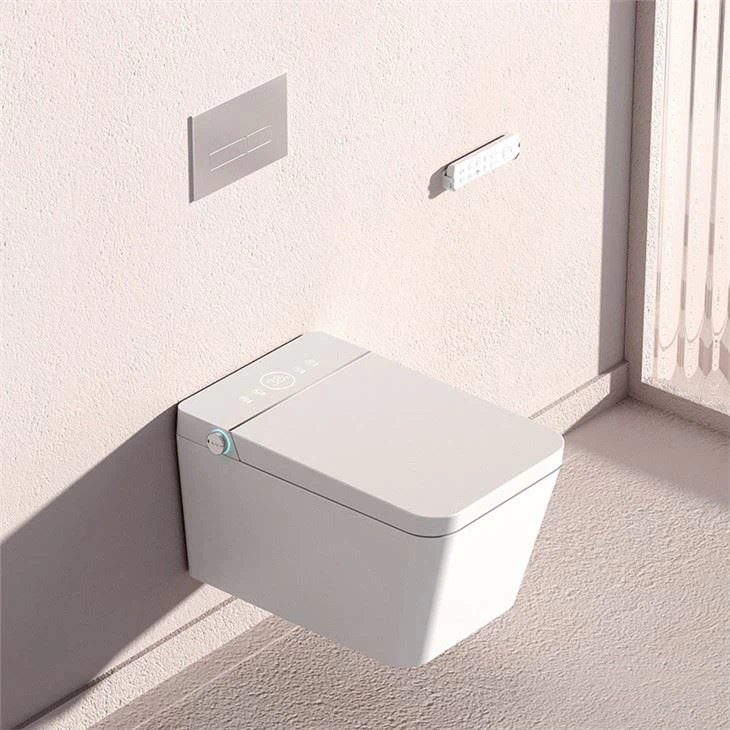 wall hung toilet with bidet