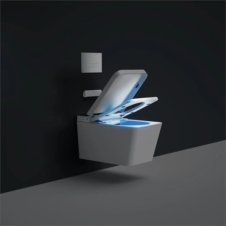 wall mounted toilet with bidet