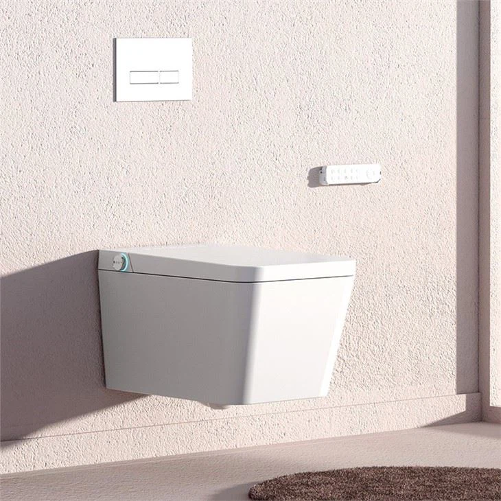 wall mounted bidet toilet