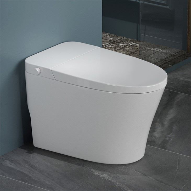 Non Electric Bidet Toilet With Dual Nozzles
