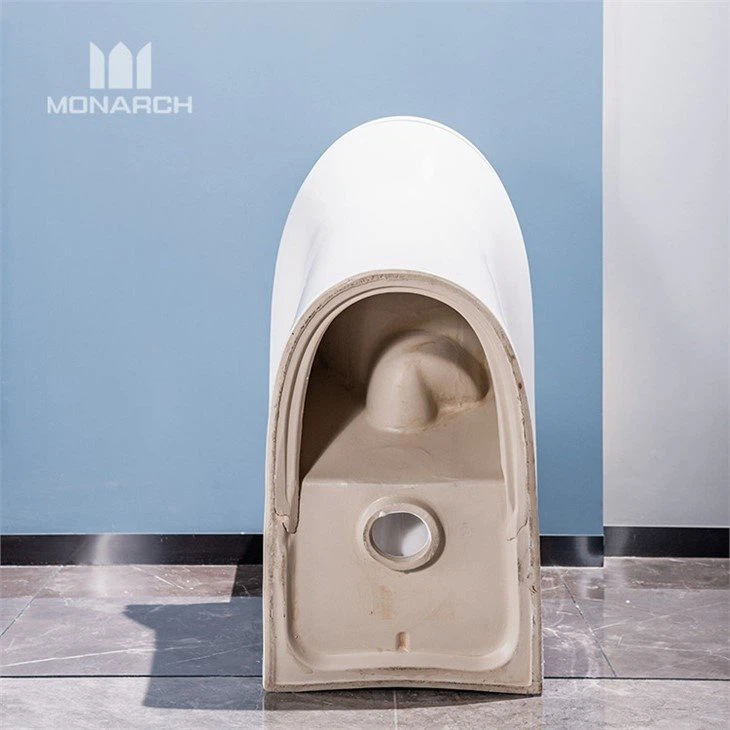 sanitary ware toilet