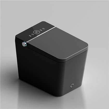 Black Toilet With Bidet