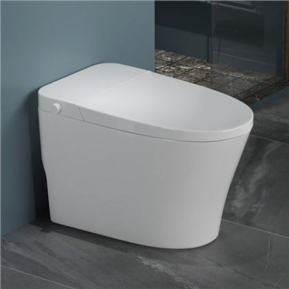 Non Electric Bidet Toilet With Dual Nozzles