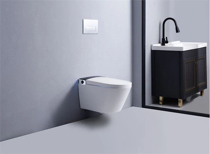 wall hung toilet with bidet(001)