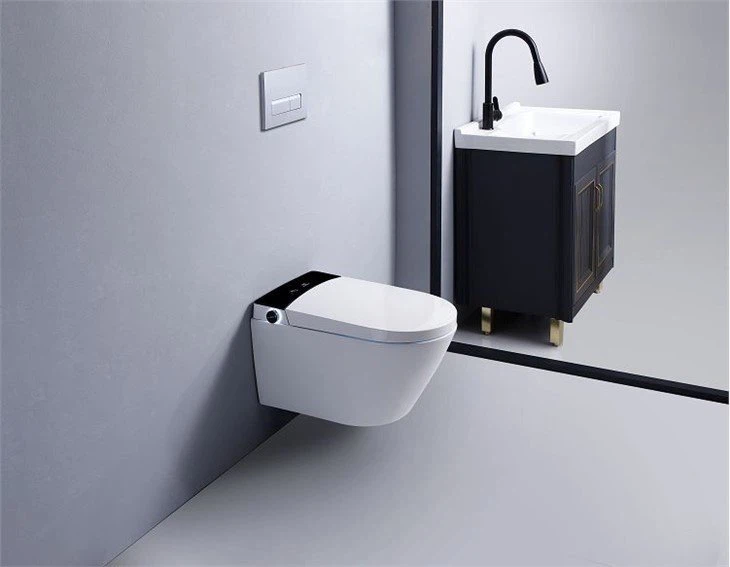 wall hung toilet rimless(001)