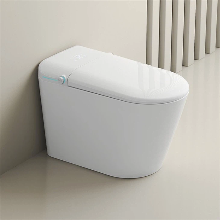 Smart Intelligent Toilet Smart Bidet Wc Toilet