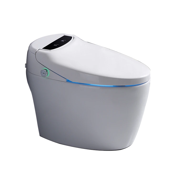 Elongated Toilet With Bidet