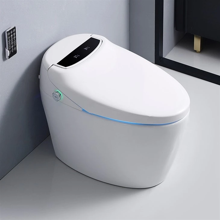 Elongated Toilet With Bidet