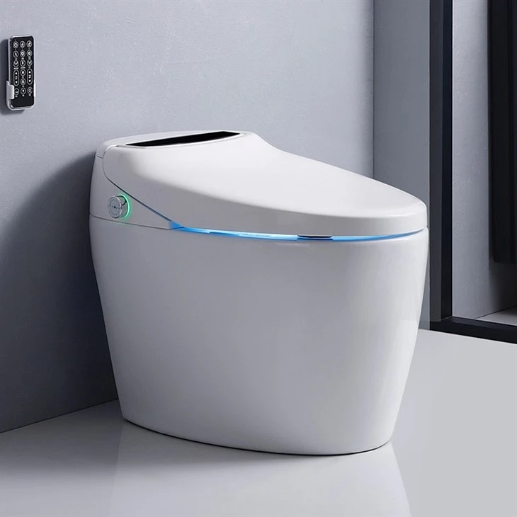 tall elongated toilet with bidet