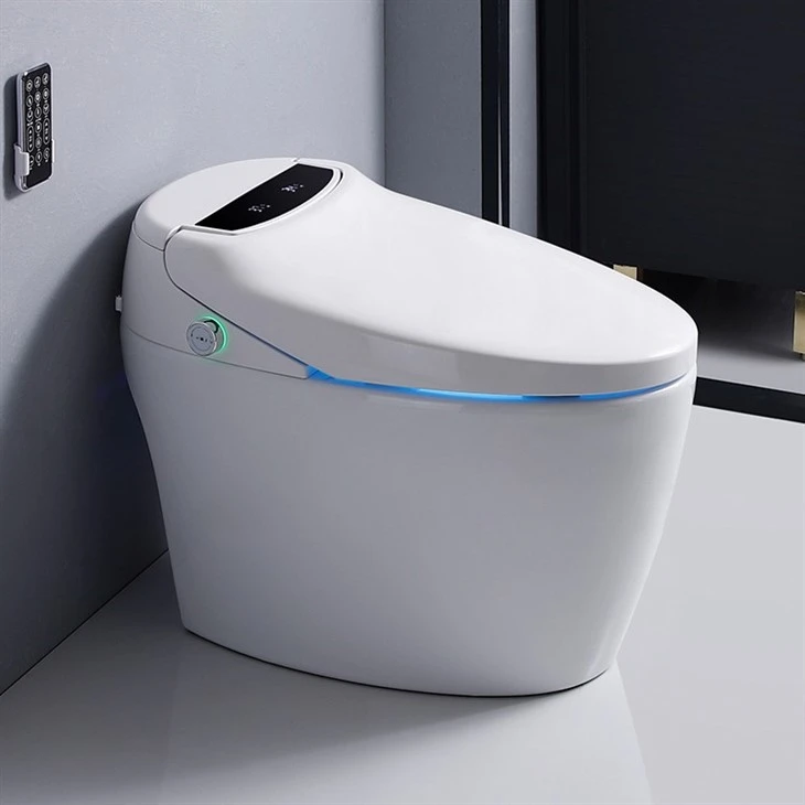 elongated toilet seat with bidet